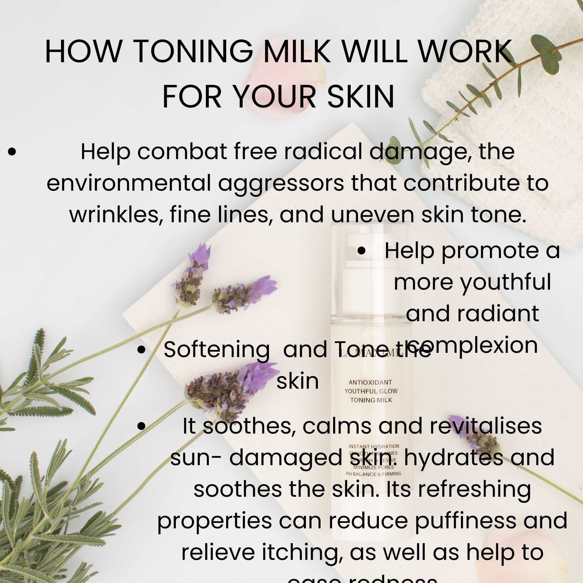 Antioxidant Youthful Glow Toning Milk-2